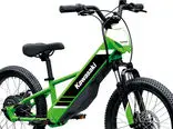 یک دوچرخه برقی جذاب برای کودکان بالای 8 سال / تعطیلات زیبای تابستانی 