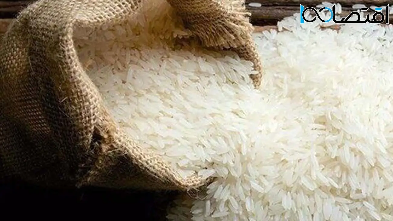 سقوط قیمت برنج ایرانی + جزییات