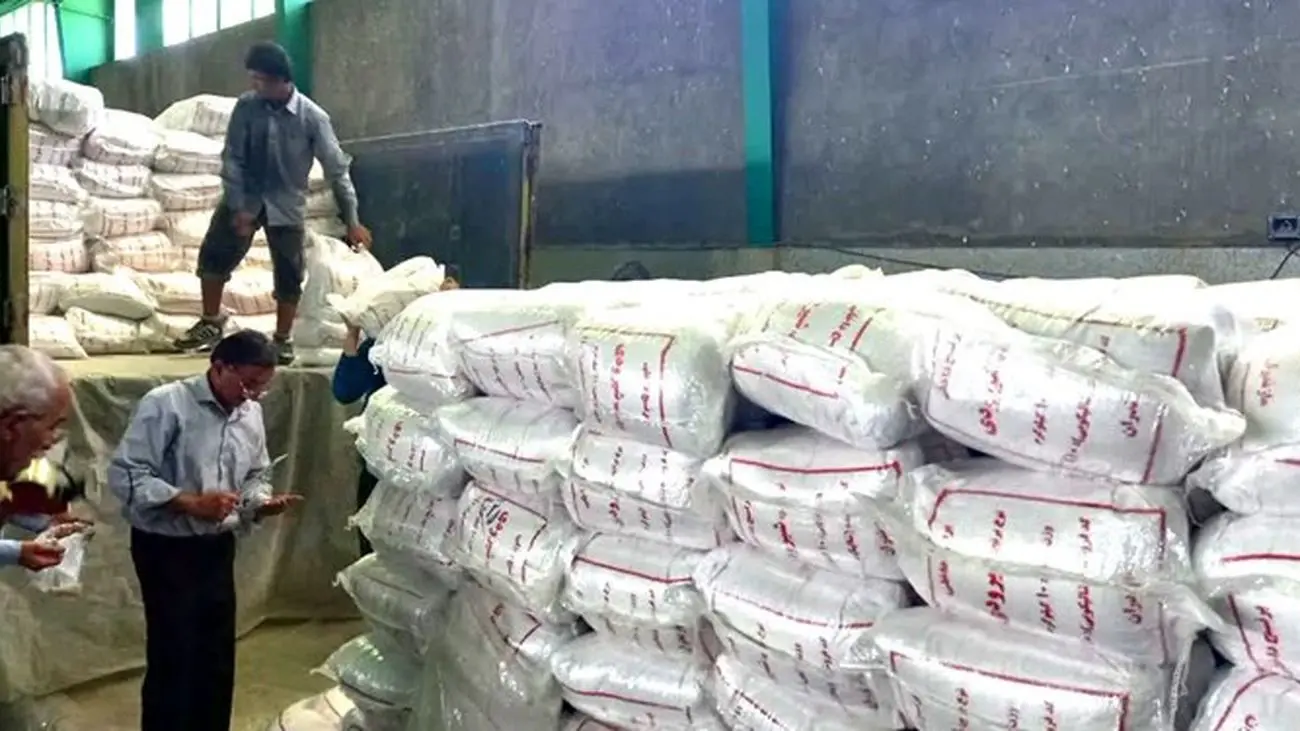 برنج ایرانی مشتری ندارد؛ دولت دنبال واردات برنج‌