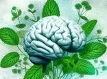 استشمام رایحه نعنا راهی احتمالی برای بهبود حافظه در مبتلایان به آلزایمر