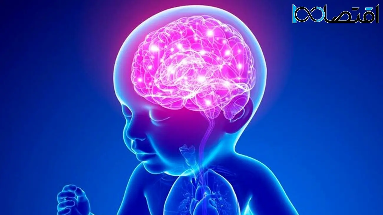 میان مغز نوزاد و هوش مصنوعی شباهت‌هایی کشف شد