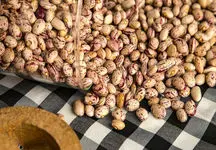 قیمت نجومی لوبیا در بازار / چیتی بسته ای یک میلیون و 600 هزار تومان
