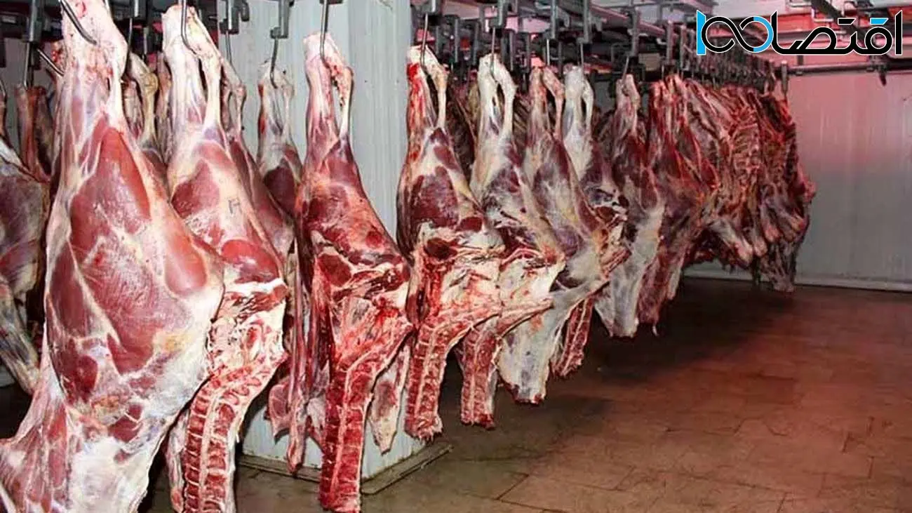 گوشت قرمز در بازار ارزان شد! | راسته گوسفندی کیلویی چند؟ 