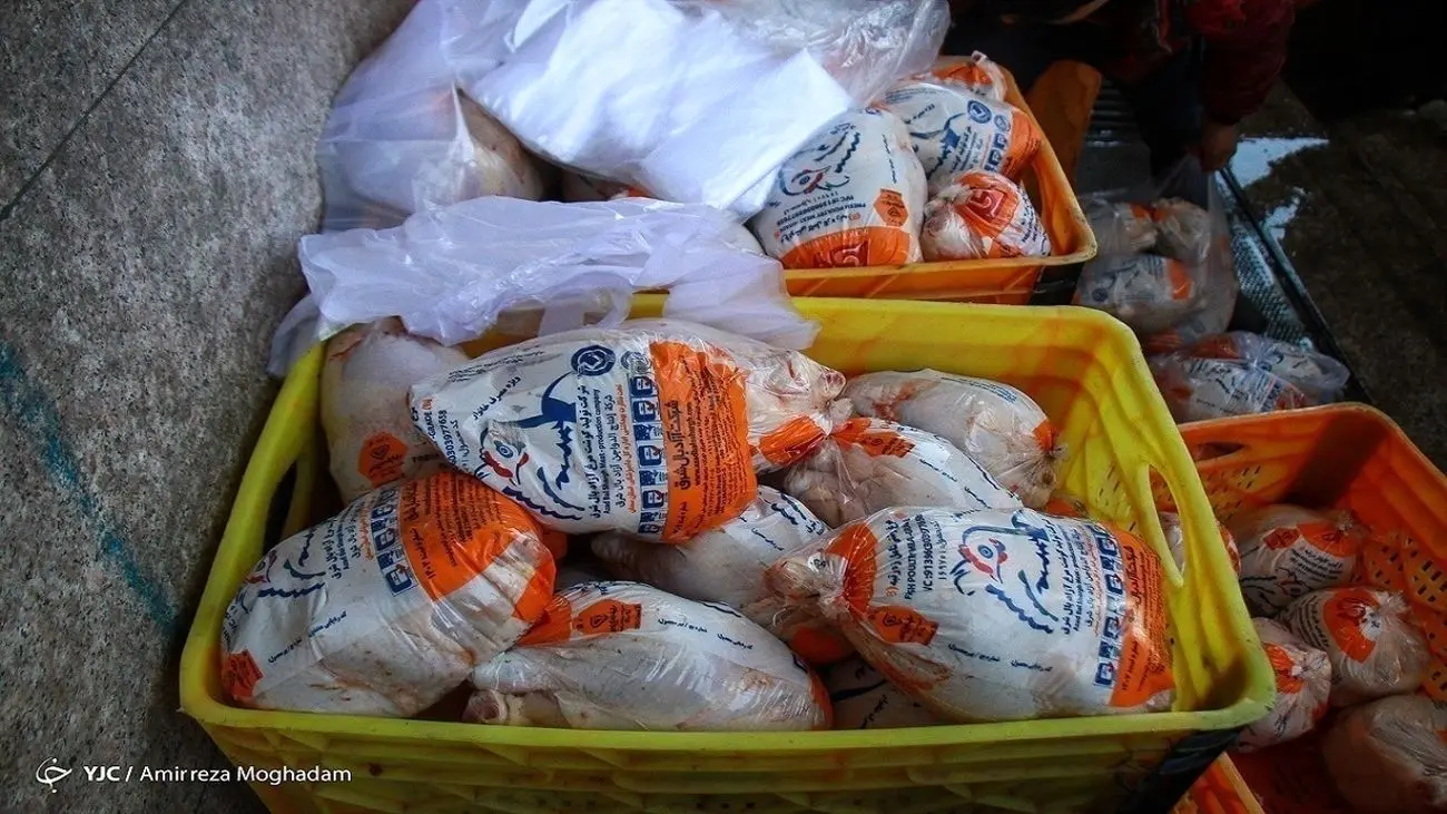 ایرانی ماهانه چند کیلو مرغ می خورند