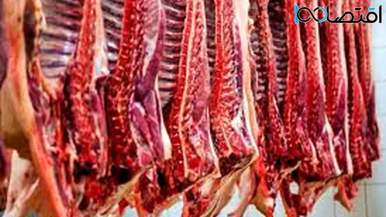قیمت روز گوشت قرمز در ۱۱ شهریور ۱۴۰۲!