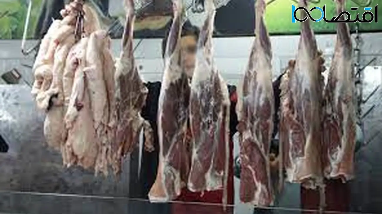 تشریح ویژگی گوشت‌های وارداتی | گوشت خارجی بی رحم تر از قصاب های ایرانی