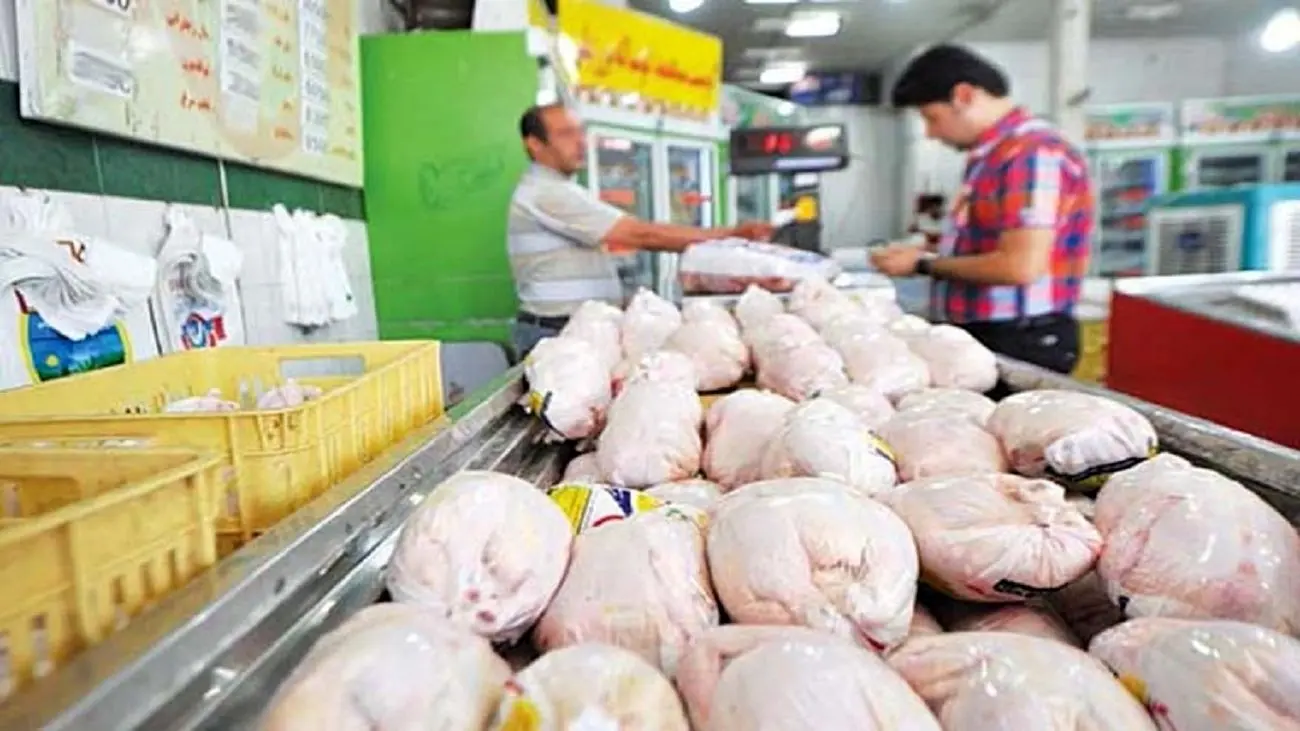 توزیع روزانه ۱۱۰۰ تن مرغ در تهران