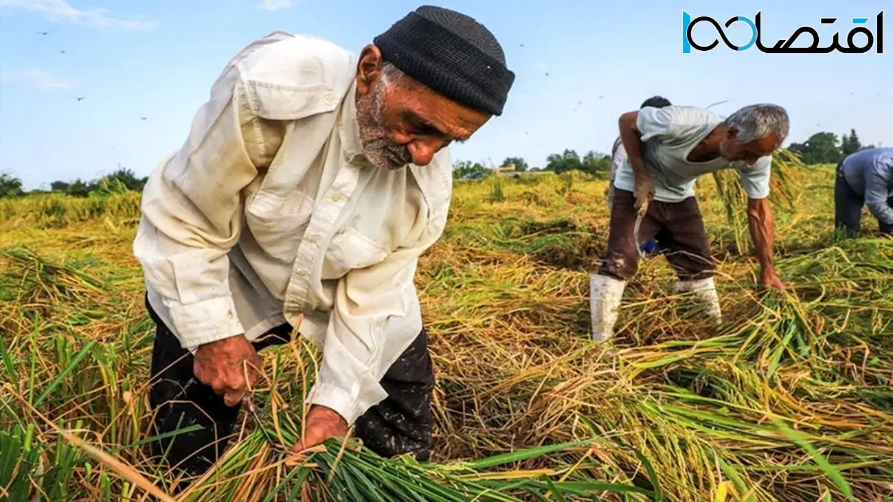  پاداش‌ جذاب وزارت نیرو برای کشاورزان