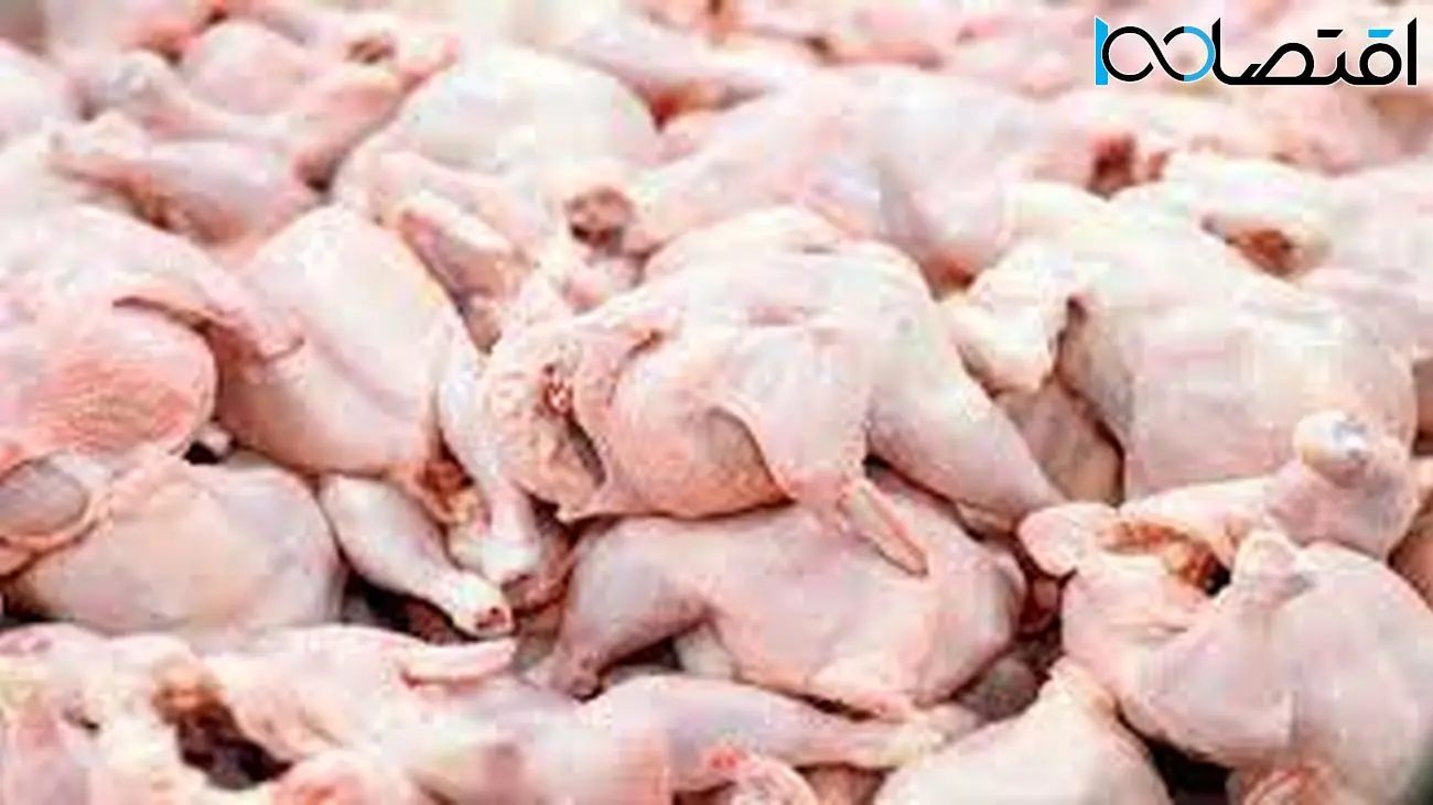 مرغ را 73 هزار تومان از تولید کننده می خرند و 120 به مصرف کننده میفروشند!