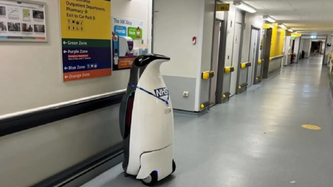 یک پنگوئن رباتیک کارمند بیمارستان می‌شود!