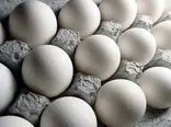 تخم مرغ گران می شود؟