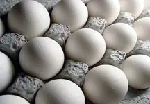
خبر خوش / قیمت تخم مرغ ریخت/ هر شانه چقدر شد ؟!

