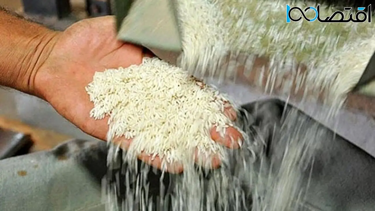 رکود در بازار برنج |۵۰ درصد برنج سال گذشته فروش نرفته