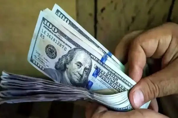 پیش بینی جدید و مهم قیمت دلار که نباید از دست بدهید