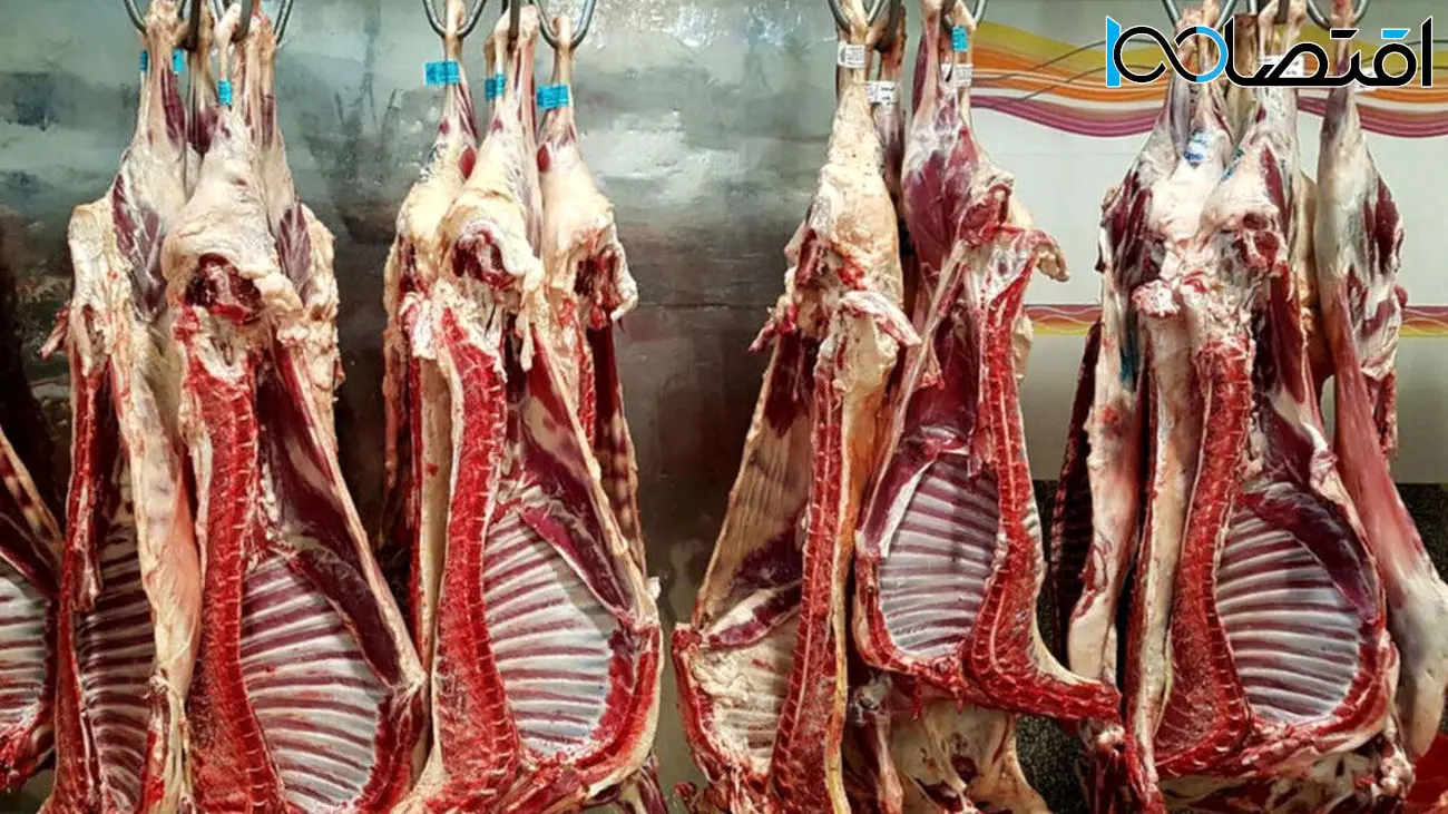 ارزانی عجیب و غریب گوشت قرمز در بازار 