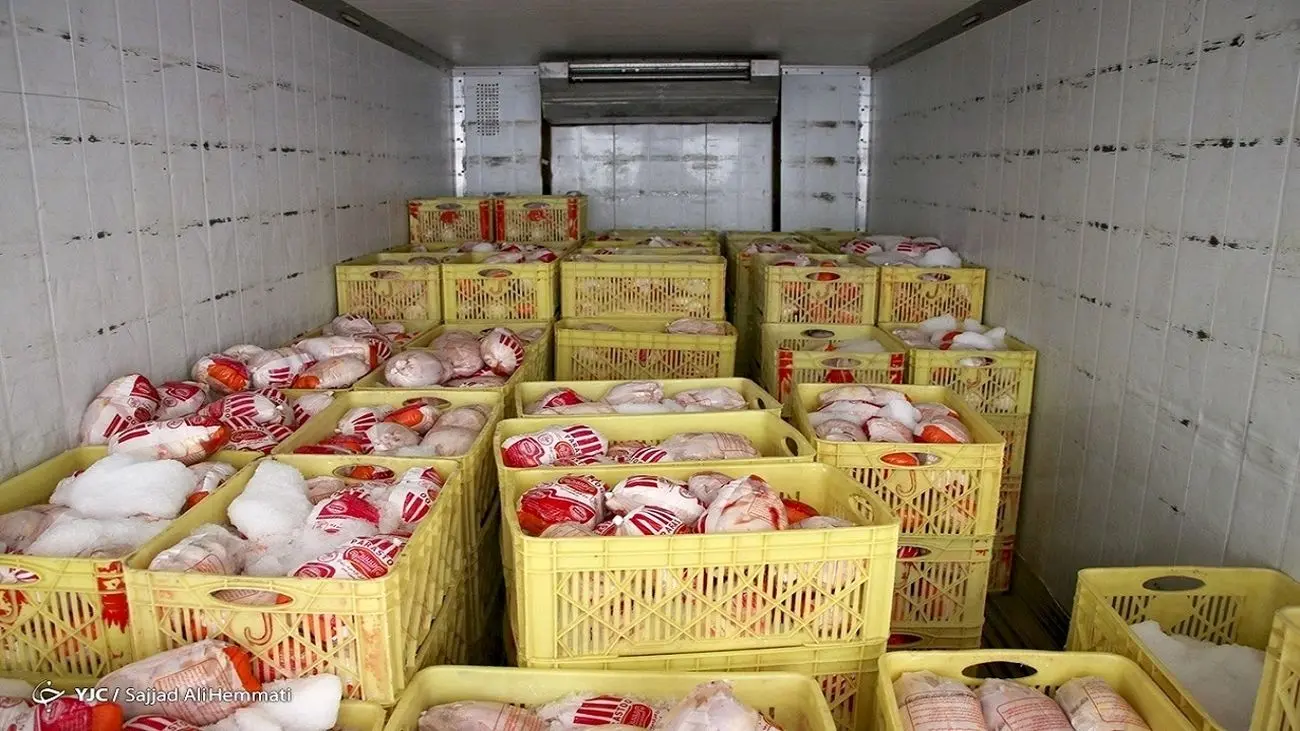 ایران سالانه چند تن مرغ لازم دارد؟