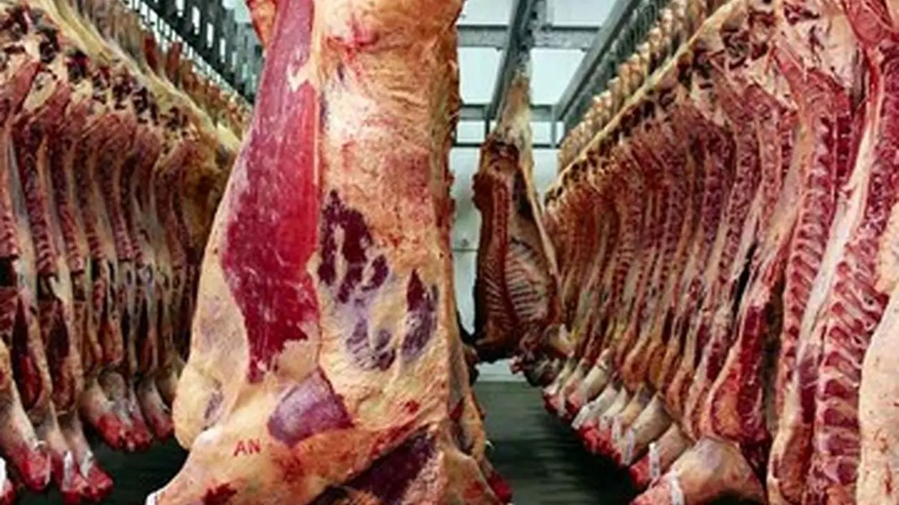 آخرین خبر از قیمت گوشت در بازار 