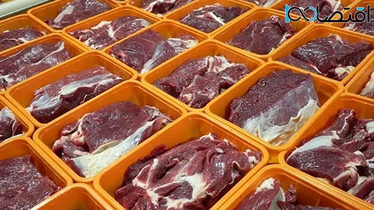 تهرانی ها از اینجا گوشت ارزان بخرند / عرضه گوشت گرم از امروز 