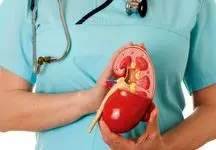 راه‌های ساده طب سنتی برای درمان سنگ کلیه و مقابله با یبوست