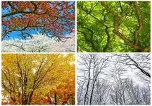 تاثیر باورنکردنی تغییر فصل روی عملکرد مغز انسان!