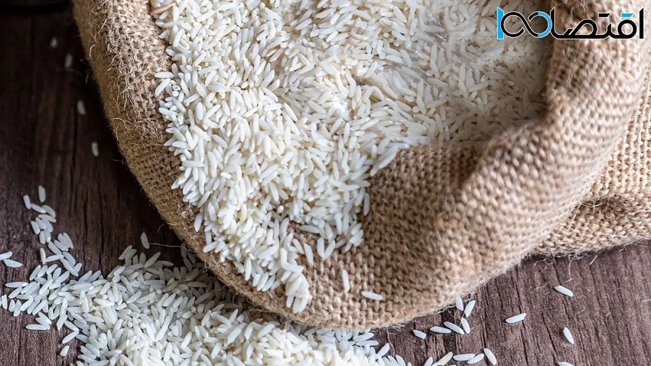 کدام اشتباهات دولت برنج را گران کرد/ افشاگری رئیس انجمن برنج