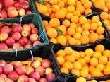 صادرات سیب و پرتقال آزاد شد / انتظار افزایش قیمت ها را داشته باشیم؟