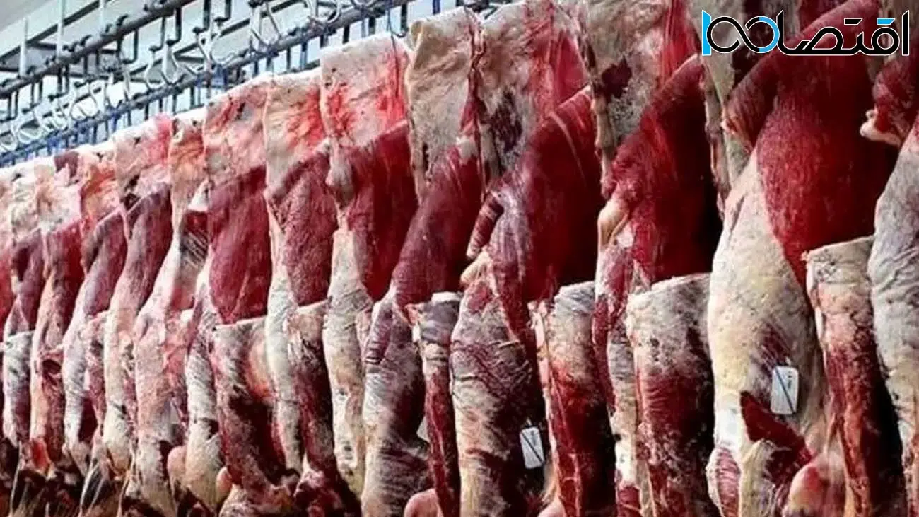 هر کیلوگوشت گوساله چند ؟ / تهرانی ها از اینجا گوشت ارزان بخرند 