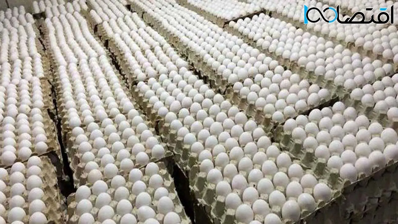 جدیدترین قیمت تخم مرغ در بازار | قیمت هر شانه تخم مرغ ۲۰ عددی چند شد؟