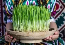 در طبیعت چیزی جز عکس نیندازید / ماهی‌ها و سبزه‌های نوروزی را در طبیعت رها نکنید +فیلم
