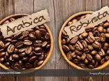 قهوه خورها بخوانند / رابطه بین قهوه خوردن و شخصیت درونی