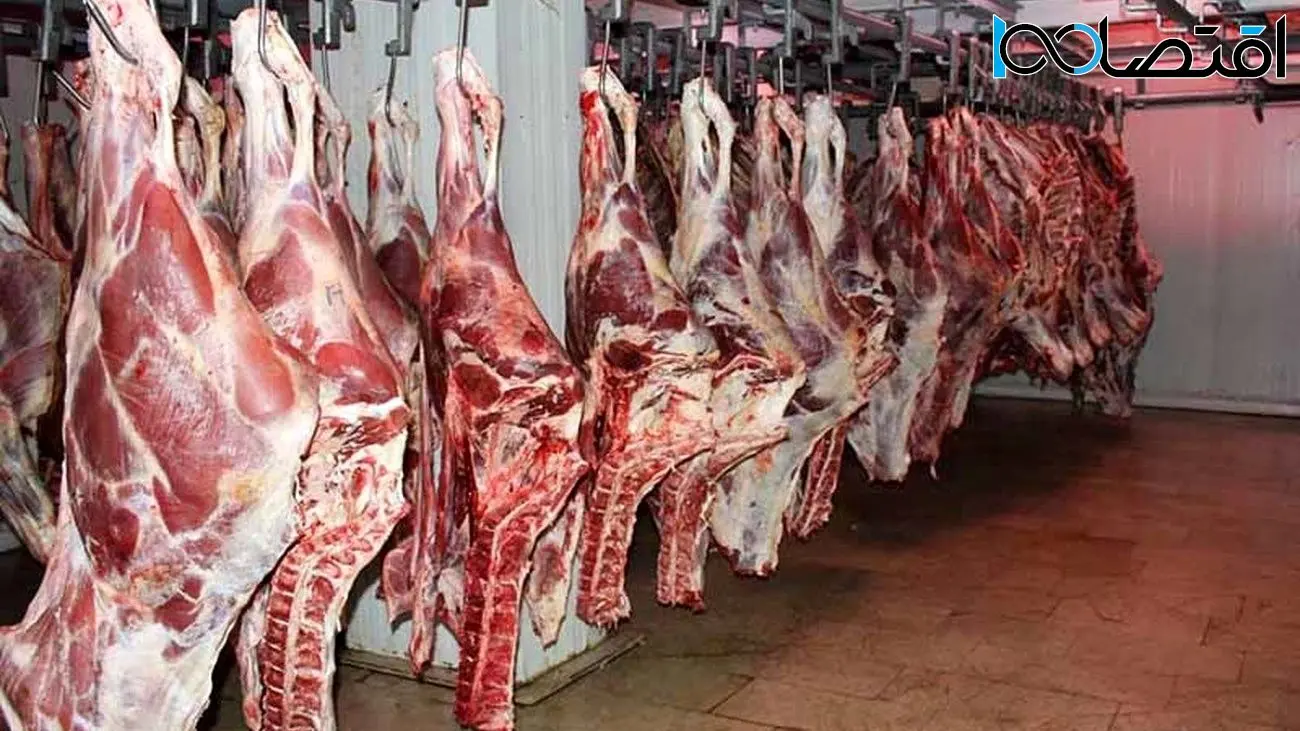 قیمت جدید گوشت قرمز در بازار / گوشت گوسفندی ارزان می‌شود؟!