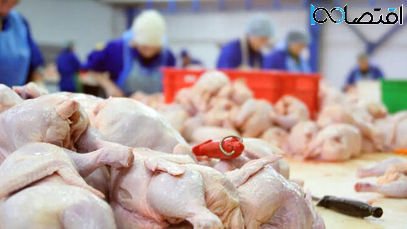 اعلام قیمت جدید مرغ در ماه رمضان / قیمت مرغ کاهش یافت ؟!