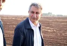 برنامه جدید دولت برای تولید گندم