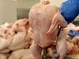 پشت پرده واردات مرغ از ترکیه / مرغ هم نایاب شد ؟!