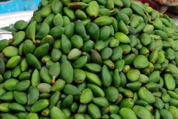 قیمت روز چغاله بادام در بازار چقدر است؟