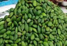 قیمت روز چغاله بادام در بازار چقدر است؟