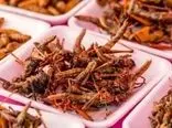 مطالعه جدید: خوردن حشرات می‌تواند به بالا بردن متابولیسم بدن کمک کند