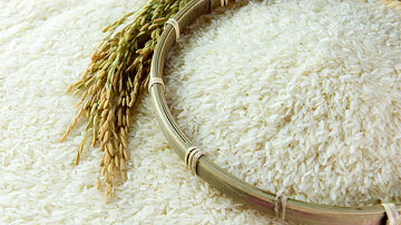 جدیدترین قیمت برنج در بازار +جزئیات