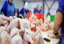 چرا قیمت گوشت قرمز بالا رفت و مرغ پایین آمد؟ /  جدیدترین قیمت گوشت گوسفندی و مرغ در بازار
