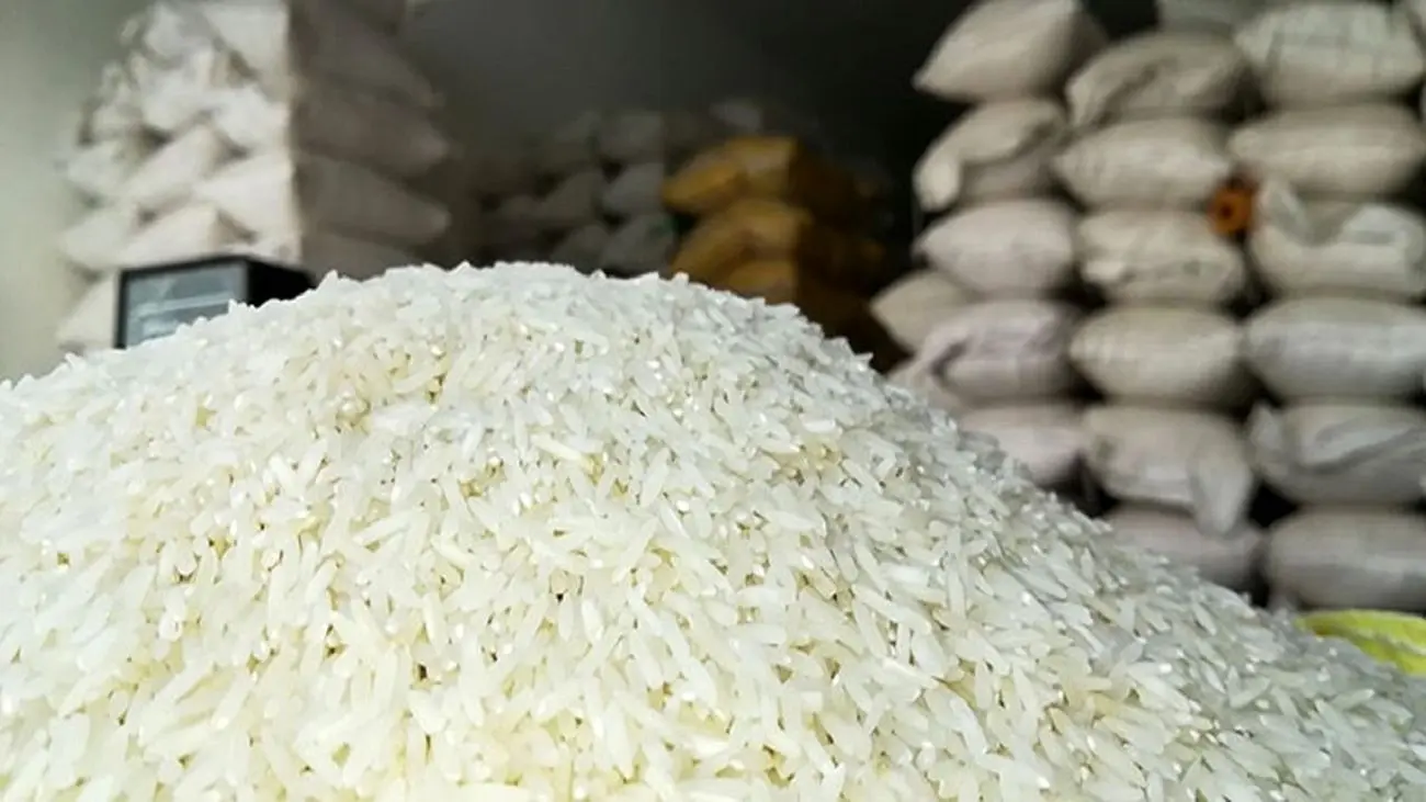 برنج ایرانی را این افراد خاکسترنشین کردند