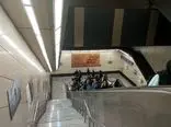 سر و کله این حیوانات در مترو تهران پیدا شد