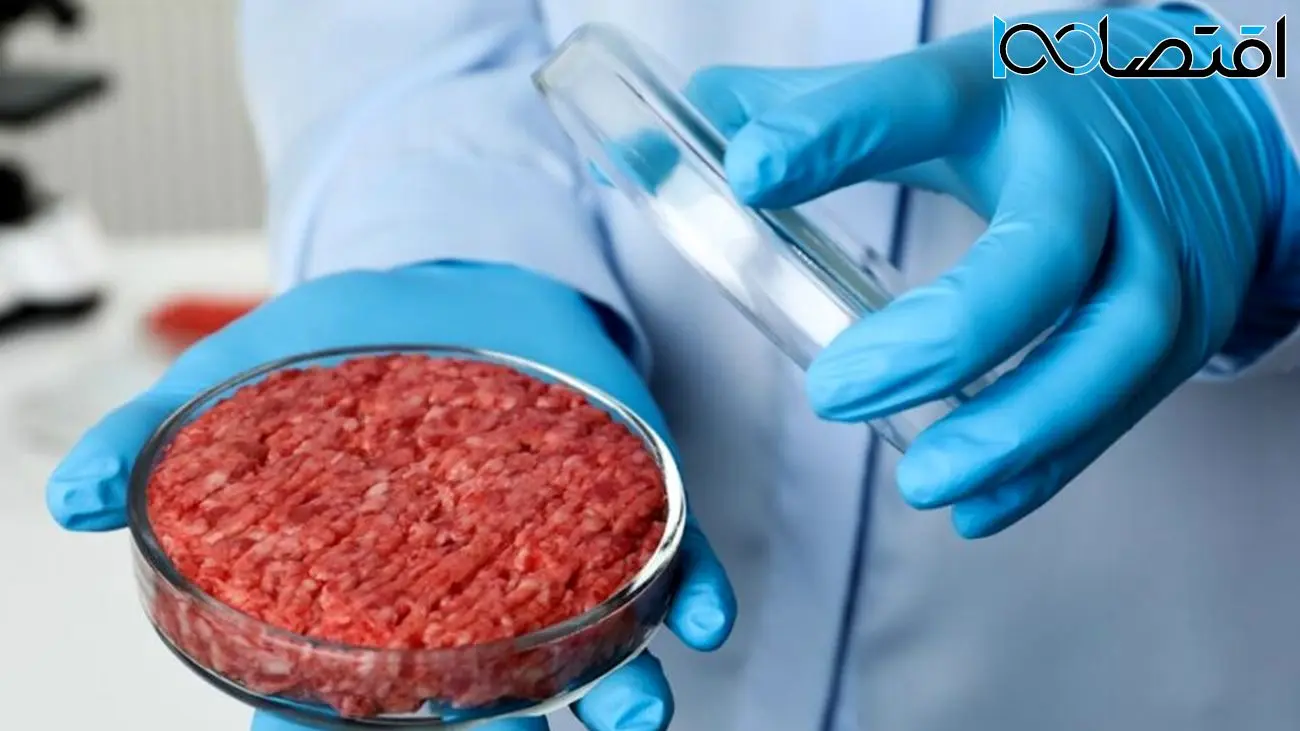 گوشت آزمایشگاهی تا 25 برابر بیشتر از گوشت سنتی CO2 تولید می‌کند