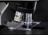 ساخت میکروسکوپ نیروی اتمی برای تحقیقات بیولوژیکی دانشگاهی