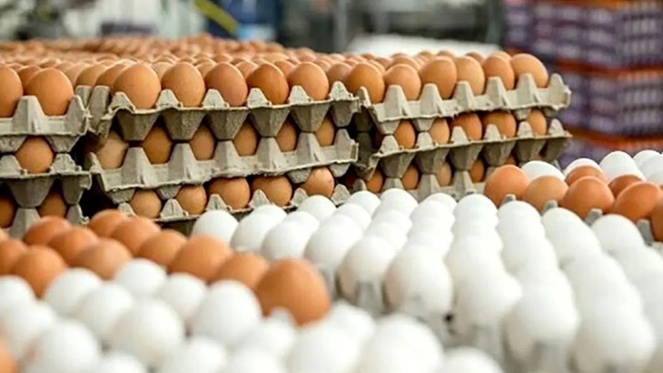 احتمال افزایش قیمت تخم مرغ در آستانه عید و ماه رمضان