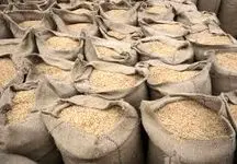 ترمز قیمت برنج بریده شد!