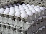 تولید تخم مرغ به بیش از یک میلیون و ۳۰۰ هزار تن می‌رسد