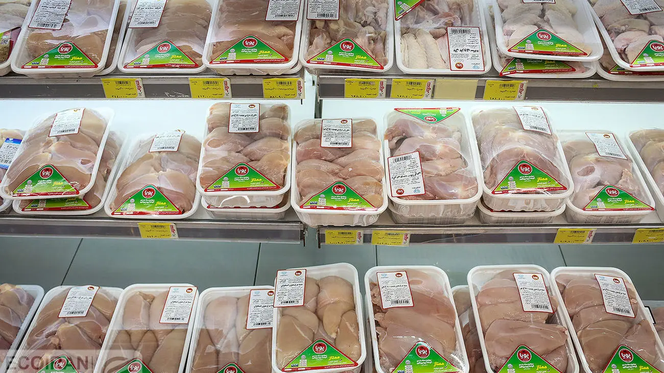 قیمت مرغ افزایش یافت / هر کیلو مرغ به 95 هزار تومان رسید