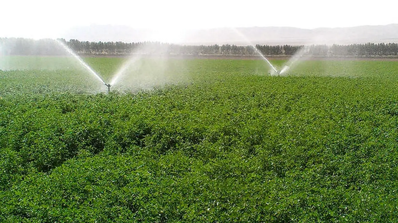 فاجعه خشکسالی القایی در انتظار ایران / 86 درصد آب های تجدیدپذیر مصرف می شود