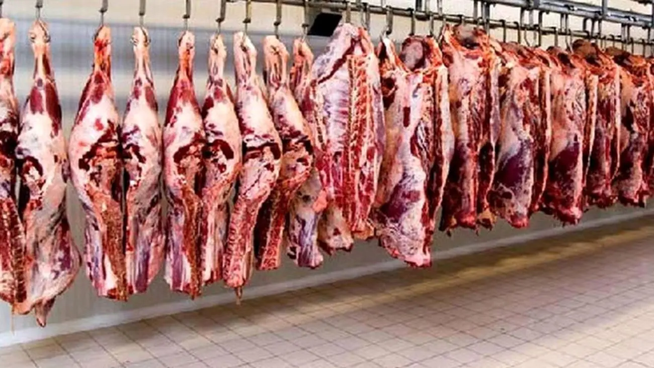 دولت این قیمت گوشت را مناسب می داند!