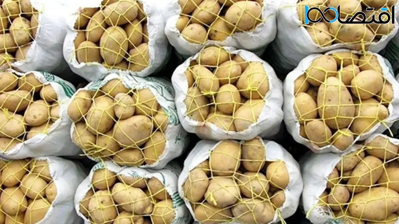 تثبیت قیمت سیبزمینی و پیاز با حمایت سازمان تعاون روستایی